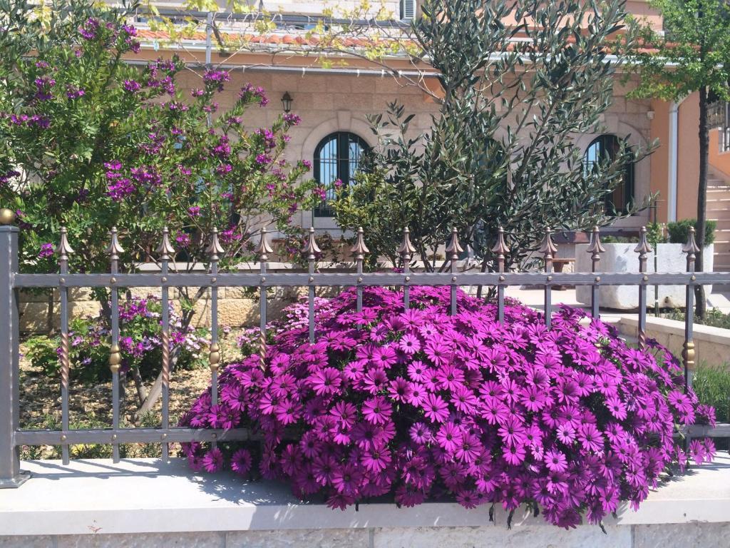 Villa Marija بودغورا المظهر الخارجي الصورة